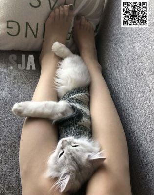 男女裸交无遮挡啪啪激烈网站_BD韩语手机在线观看