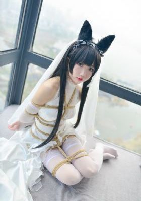 黄色一极视频_高清免费电视剧
