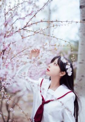 憧憬成为魔法免费观看全集动漫_BD国语全集在线观看